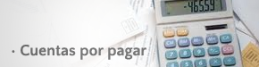 Cuentas por Pagar