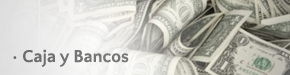 Caja & Bancos